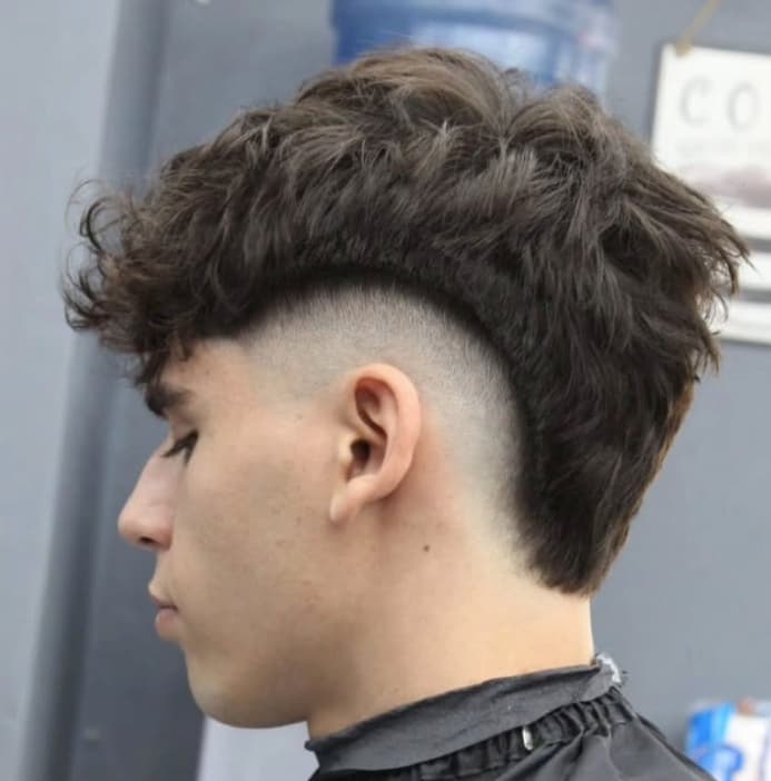 Mohicano